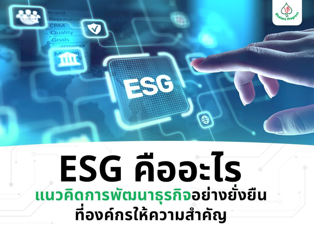 ESG คืออะไร แนวคิดการพัฒนาธุรกิจอย่างยั่งยืนที่องค์กรให้ความสำคัญ