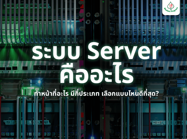 ระบบ Server คืออะไร ทำหน้าที่อะไร มีกี่ประเภท เลือกแบบไหนดีที่สุด?